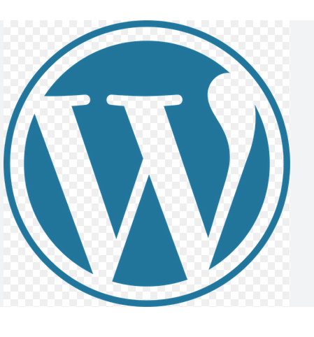 WordPress Support Helped Fix My Website | Thank You Dan