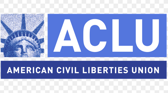 Systemic Abuse Williamson County: Civil Rights Appeal for Assistance